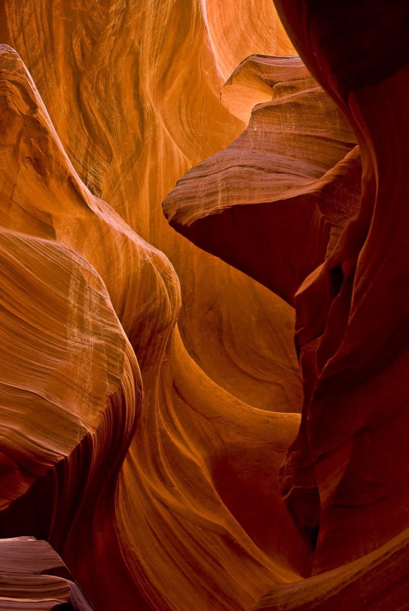 Antelope Canyon Arizona Usa Canvas Art - Robert Brown Design Pics (12 x 18)