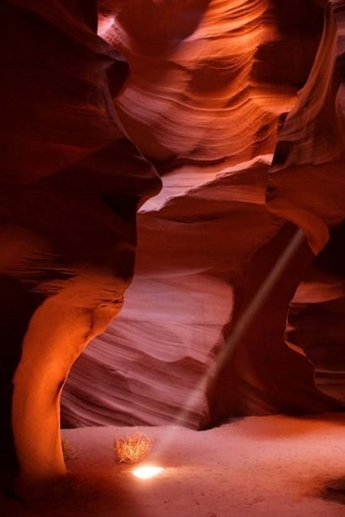 Antelope Canyon Sunbeam Canvas Art - Jaynes Gallery DanitaDelimont (11 x 17)