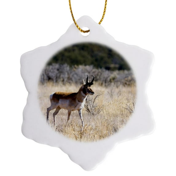 3drose, Antelope - Na02 Dfr0029 - David R. Frazier, 3 inch Snowflake Porcelain Ornament