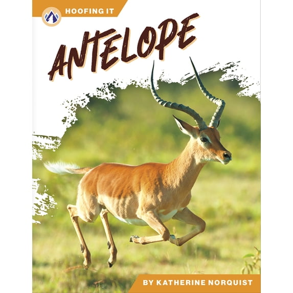 Antelope, (Paperback)