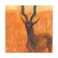 thumbnail image 1 of Antelope in Morning Sun - Canvas, 1 of 25