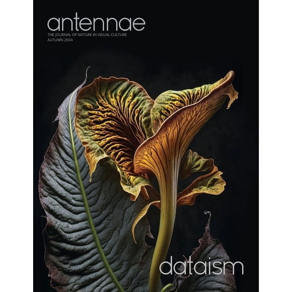 Antennae #65 Dataism, (Paperback)