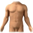 thumbnail image 1 of Anterior anatomy of the human male Poster Print by Enid Hajderi/Stocktrek Images (16 x 16), 1 of 1