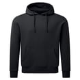thumbnail image 1 of Anthem  Adult Anthem Hoodie, 1 of 2