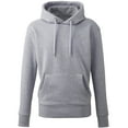 thumbnail image 1 of Anthem  Adult Hoodie, 1 of 2