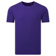 thumbnail image 1 of Anthem  Adult Midweight Natural T-Shirt, 1 of 2