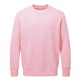 thumbnail image 1 of Anthem  Adult Sweatshirt, 1 of 3