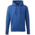 thumbnail image 1 of Anthem Winter Wear Mens Hoodie, 1 of 2