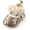 thumbnail image 1 of Antheron Baby Girls Mary Jane Flats Soft Sole Infant Moccasins Floral Sparkly Toddler Princess Dress Shoes, 1 of 6