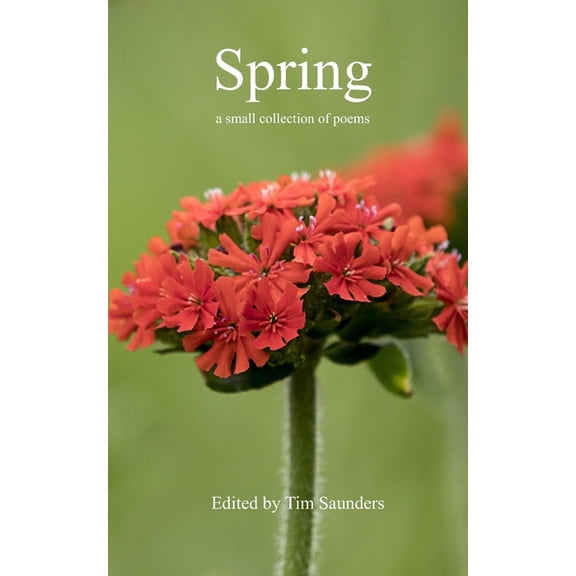 Anthologies of Poetry and Short Stories Spring: a small collection of poems, Book 46, (Paperback)