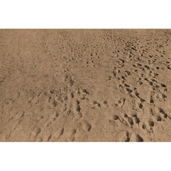 Anthony Hernandez: Beach Pictures, 1969-70, (Hardcover)