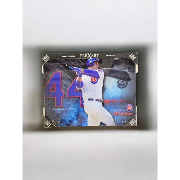 Anthony Rizzo Plex Art