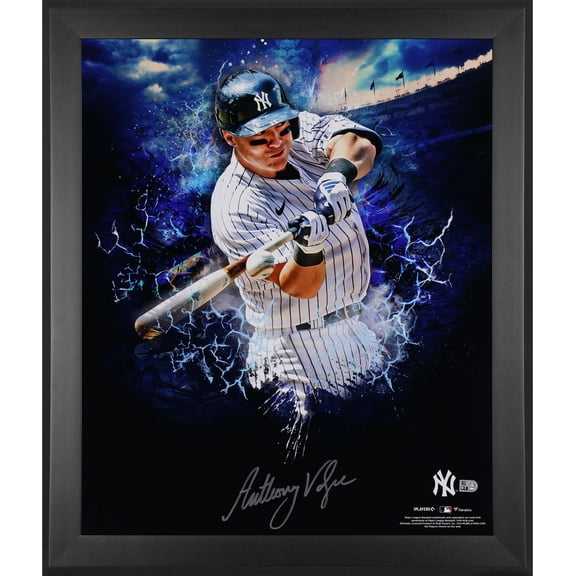Anthony Volpe New York Yankees Autographed 20" x 24" In Focus Photograph - Fanatics Authentic Certified