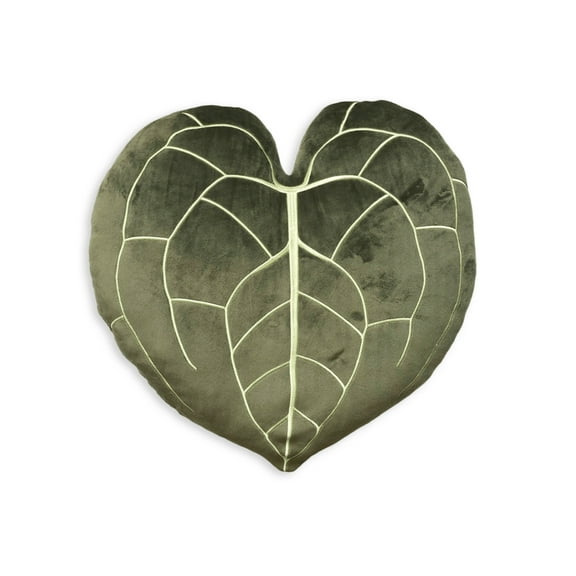 Anthurium Clarinervium - Khaki