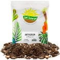 thumbnail image 1 of Anthurium Plant Potting Soil Mix (4 Quarts), Indoor Houseplant Custom Blend for Flowering Anthuriums, 1 of 10