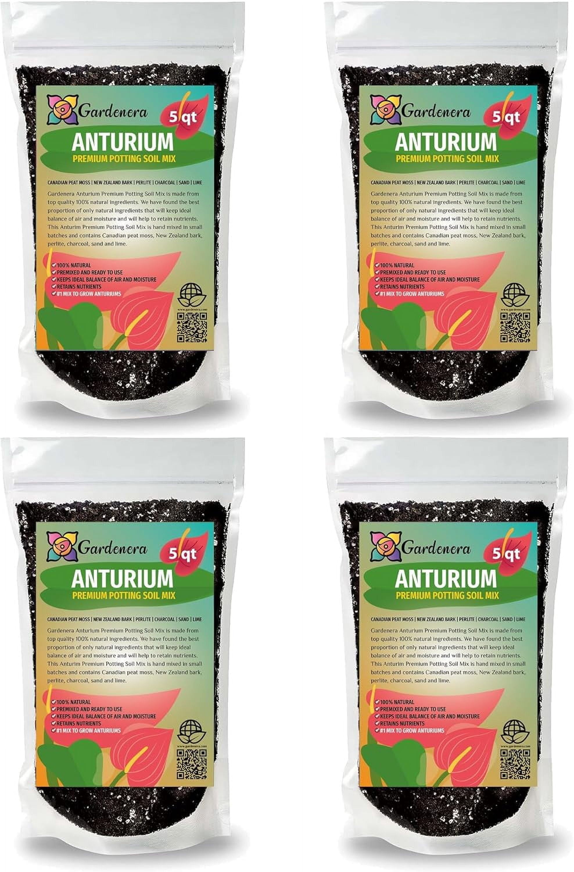 14+ Anthurium Potting Mix Anthurium Potting Mix - Unleash The Full Potential of Your Indoor
