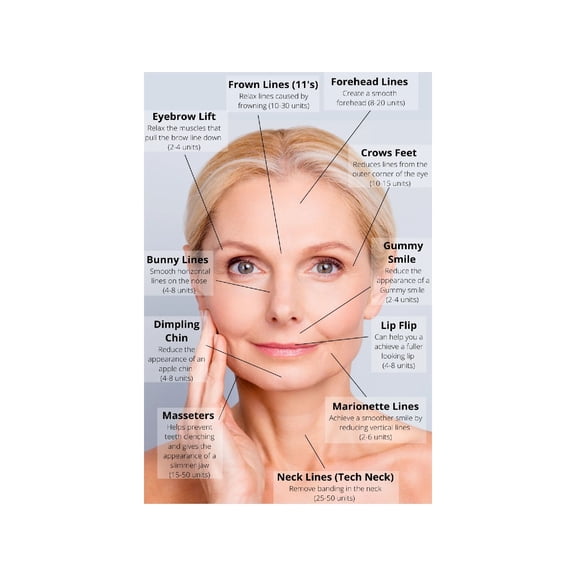 Anti Aging Skincare Ingredients Chart Poster Facial Care Routine Guide Dermatology Aesthetic Reference for Bathroom Vanity Beauty Room Wall Decor