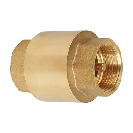 Anti Backflow Valves Heavy Duty Construction Threaded Ends Fit for Pipe Systems