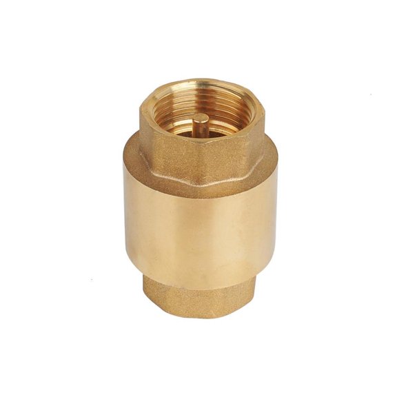 Anti Backflow Valves Heavy Duty Construction Threaded Ends Fit for Pipe Systems