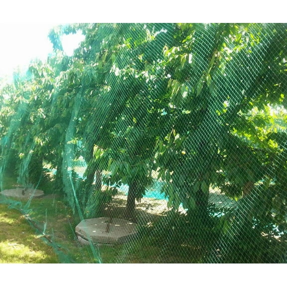 Anti Bird Netting 13Ft x 33Ft Garden Protection Mesh for Plants Flowers Fruit Trees Vegetables Deer Rodent Barrier Reble Durable Fencing, Green