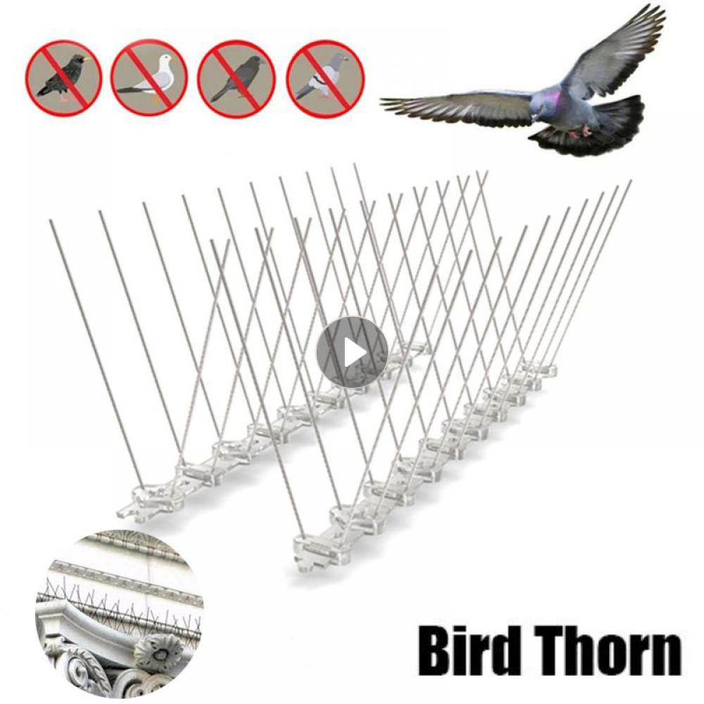 Anti Bird Stainless Steel Spike Strip Bird And Pigeon Spikes Deterrent