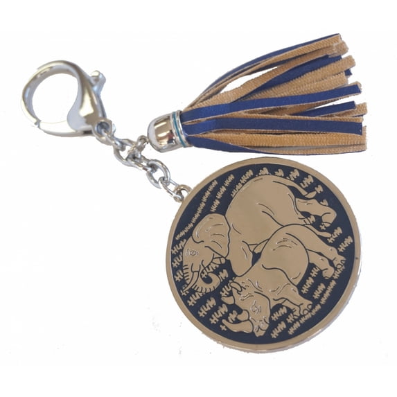 Anti Burglary Keychain