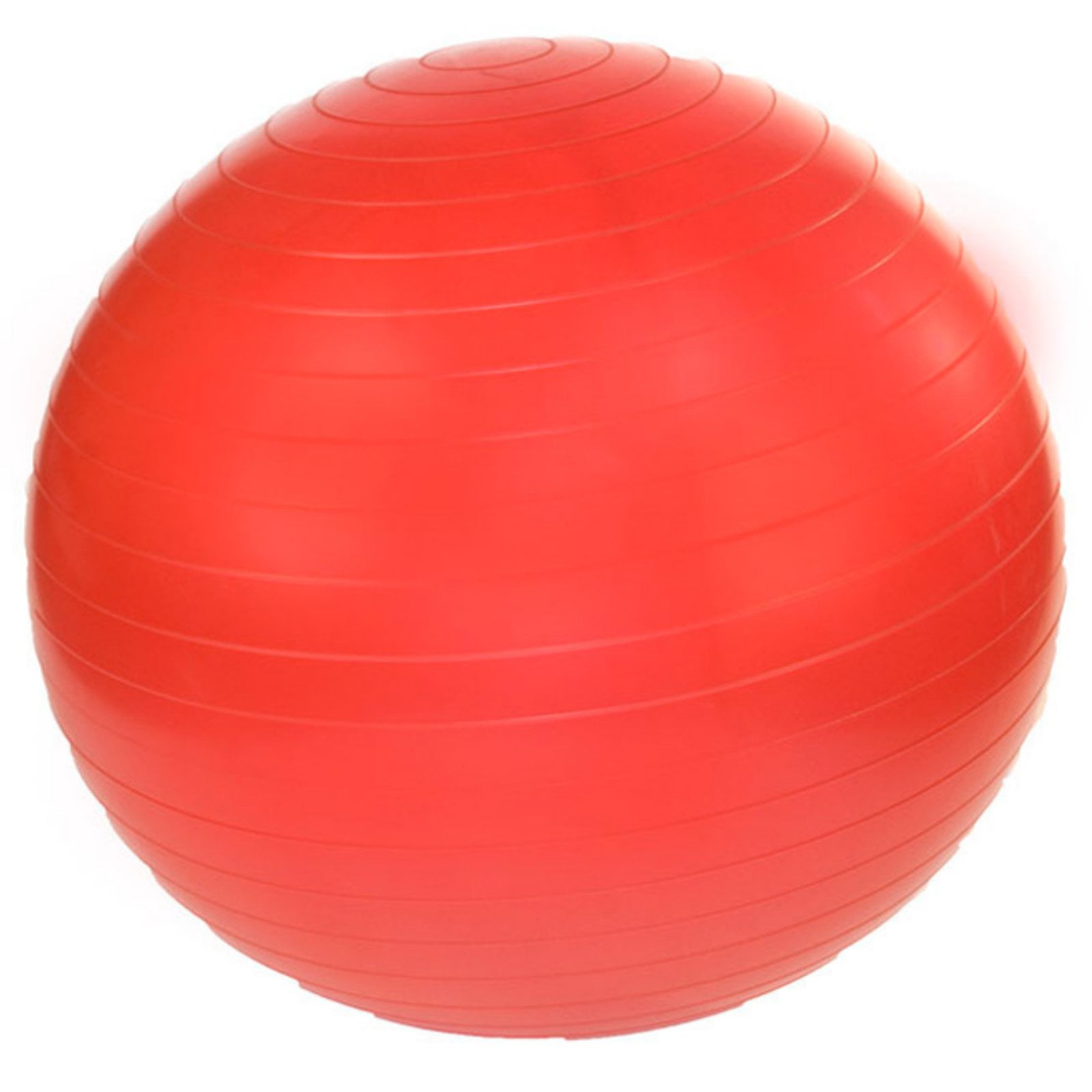 Gym Ball Anti-Burst 65cm Home Fitness Pump Included – Meglio
