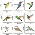 AntiCollision Window Clings Bird Alert Collision Decals Set Of 9