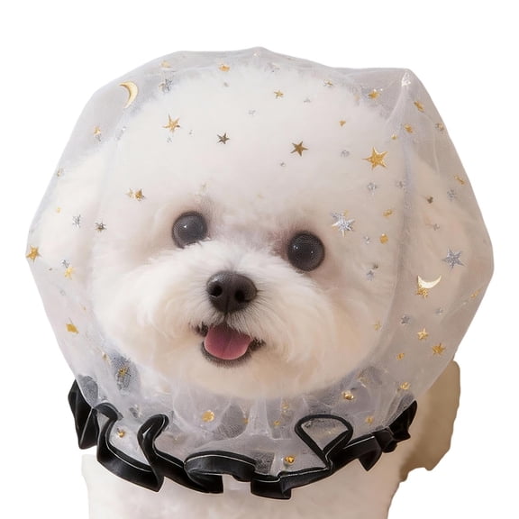 Anti Eating Cover for Small Dog and Cats Dogs Head Protector Cat Face Guard Head Net Mesh Snood Prevent Foxtails Thorns Sticks Rocks