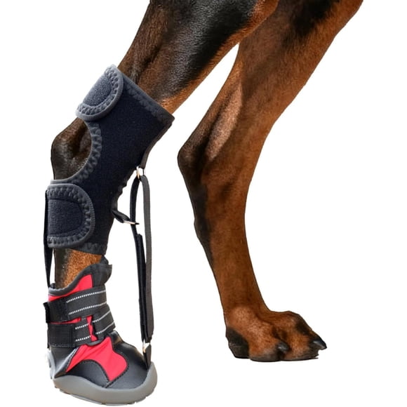 Anti-Knuckling Dog Boot with Toe Lifting Straps for Walking Support, Non-Slip Orthopedic Aid