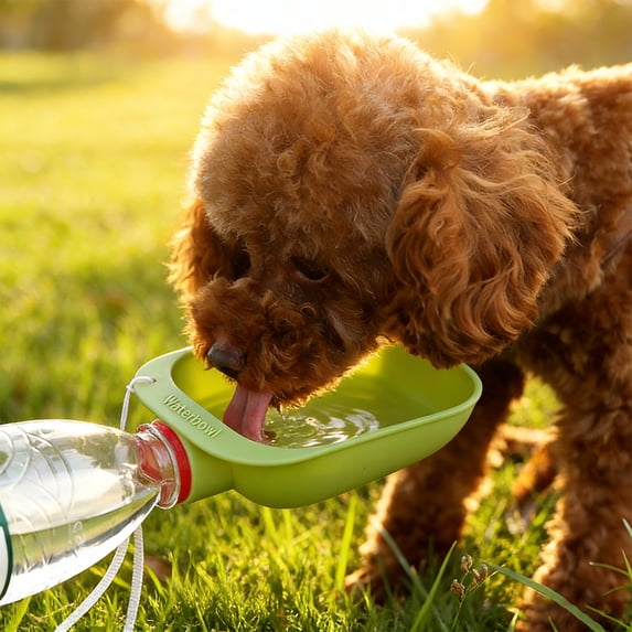 Anti-Leak Seal Dog Water Dispenser Bottle, Safe Food-Grade Portable Hydration Vessel, No Spill Travel Water Feeding Tool for Small Medium Dogs Outdoor Walking Hiking Daily Adventure