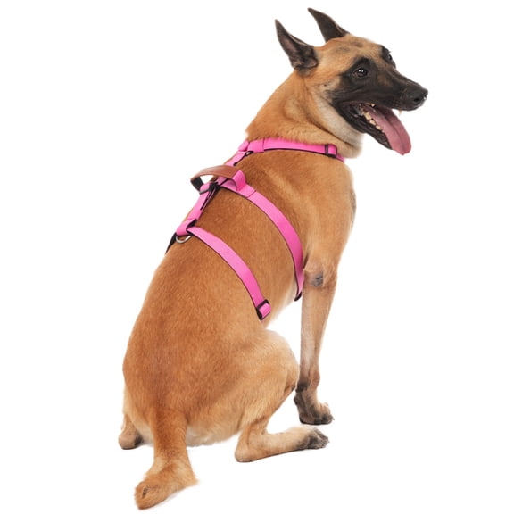 Anti Pull Dog Vest Harness Escape Proof Adjustable Outdoor Walking Chest Harness for Medium Large Dogs