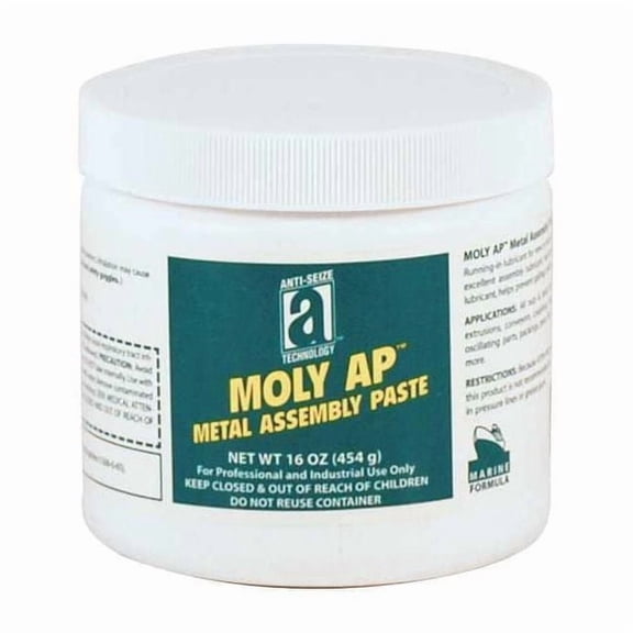 Anti-Seize Technology Anti Seize,Moly,Paste,16 oz,Can,Black 43016