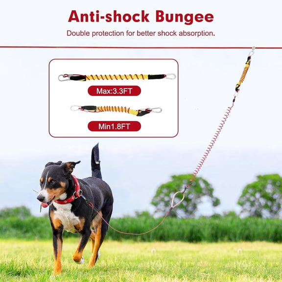 Anti-Shock Coiled Lead Line for Dogs, 100FT Retractable Leash with Bungee, Heavy-Duty Zip Line for Backyard, Park, Camping