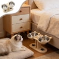 thumbnail image 1 of Anti-Slip Elevated 2-Bowl Pet Feeder, Elevated Cat Food Bowls 15°Tilted Stand Anti Vomiting Raised Cat Dishes for Food Water 2 Stainless Steel Bowls for Cats Dogs(Beige), 1 of 6