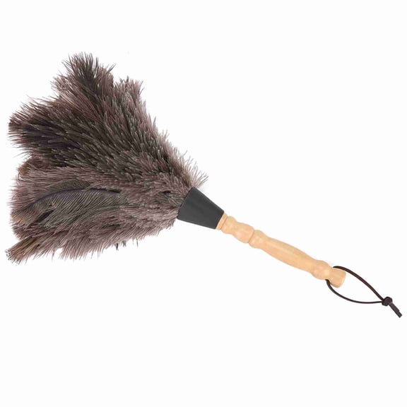 Anti Static Reusable Ostrich Feather Duster Cleaning Tool with Durable Wooden Handle for Home Bookshelf Keyboard and Office Dusting, 13.4 inches / 34 cm