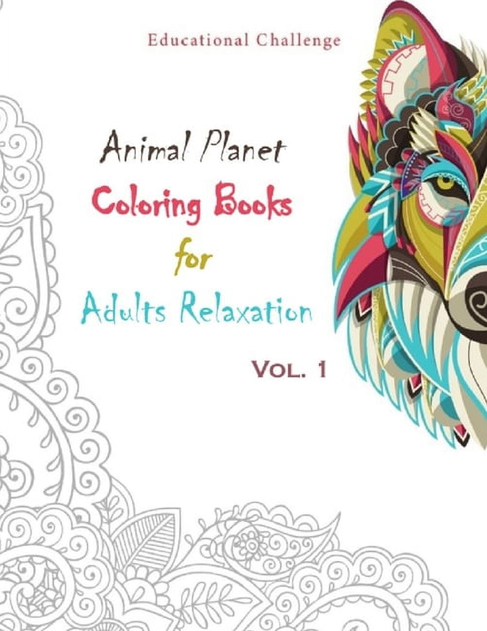 Coloring Book For Teens: Anti-Stress Designs Vol 5 by Art Therapy Coloring,  Paperback