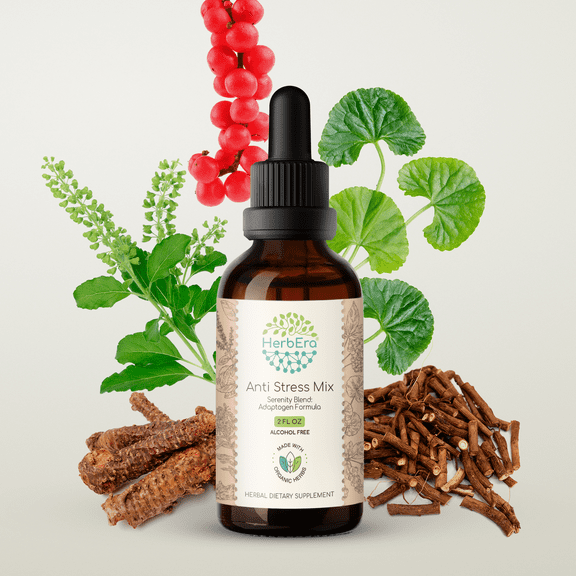HerbEra Anti Stress Mix Extract, Dietary Supplement Herbal Formula, Made from Eleuthero Root, Rhodiola Root, Schisandra Berry, Gotu Kola Herb, Holy Basil Herb 2 oz