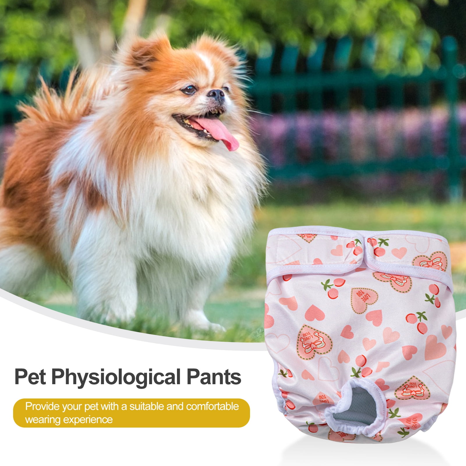 German Spitz Pants German Spitz Pants