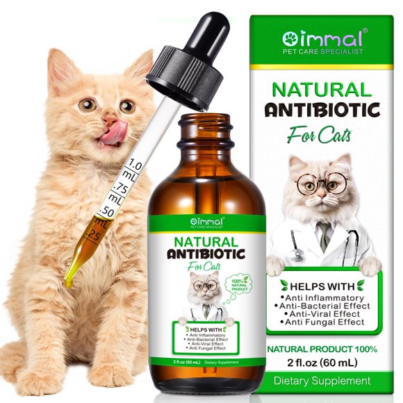 Echinacea For Cats