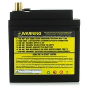 Antigravity Lithium 12V Vehicle Battery Group Siz 48, Top Post for Car