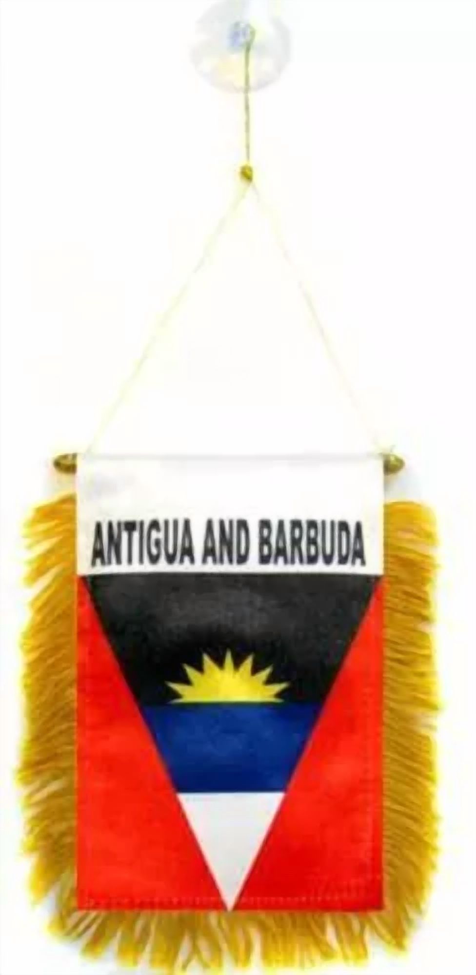 Mini Bandiera Gold Star Service Due Facce Per Auto E Casa - 6 Oz, Poliestere, Multicolore, Tradewinds