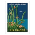 thumbnail image 1 of Antilles - Central America (Amérique Centrale) - Lockheed L-1049 - France - Vintage Airline Travel Poster by Lucien Boucher c.1948 - Bamboo Fine Art 290gsm Paper Print (Unframed) 24x32in, 1 of 4