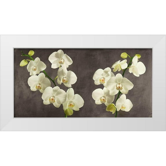 Antinori, Andrea 14x9 White Modern Wood Framed Museum Art Print Titled - Orchids on Grey Background