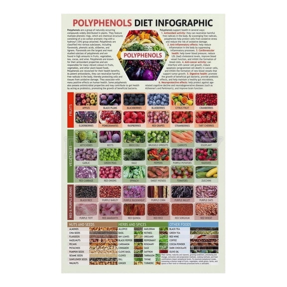 Antioxidant Food Chart Polyphenol Rich Foods Poster Healthy Eating Guide Canvas Wall Art for Kitchen Clinic Home Decor