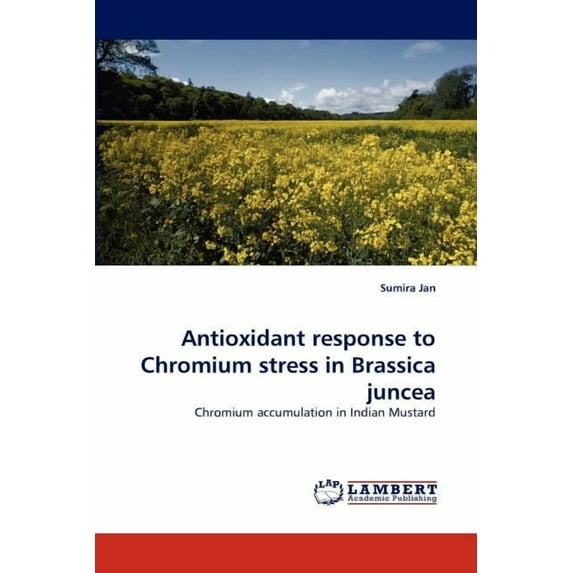 Antioxidant response to Chromium stress in Brassica juncea (Paperback)