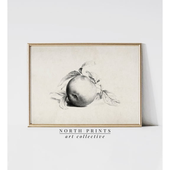 Antique Apple Sketch Farmhouse Kitchen Sk-293 Wall Art, Expressive Kitchen And Dining Theme For Kitchen, Cafe And Dining Room Decor