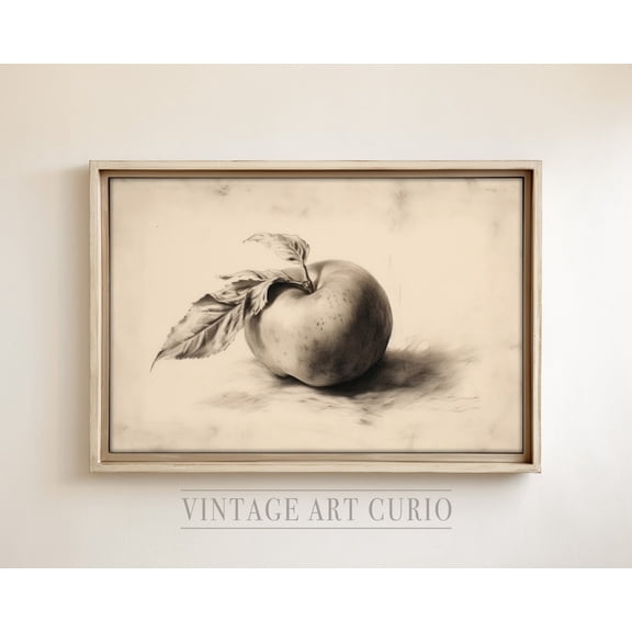 Antique Apple Sketch Wall Print, Rustic Country Decor, Bathroom , Vintage Etching, Vintage Sketch Drawing Home Decor #3411, 8x12 UNFRAMED