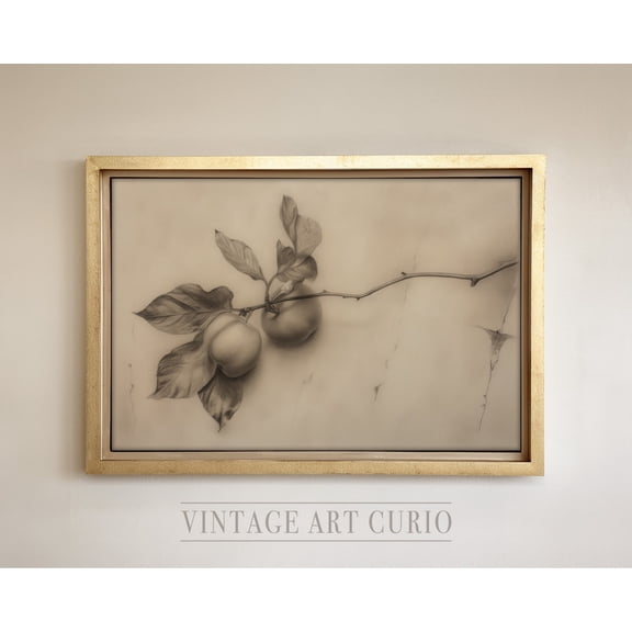 Antique Apple Sketch Wall Print, Rustic Country Decor, Bathroom , Vintage Etching, Vintage Sketch Drawing Home Decor #3669, 8x12 UNFRAMED