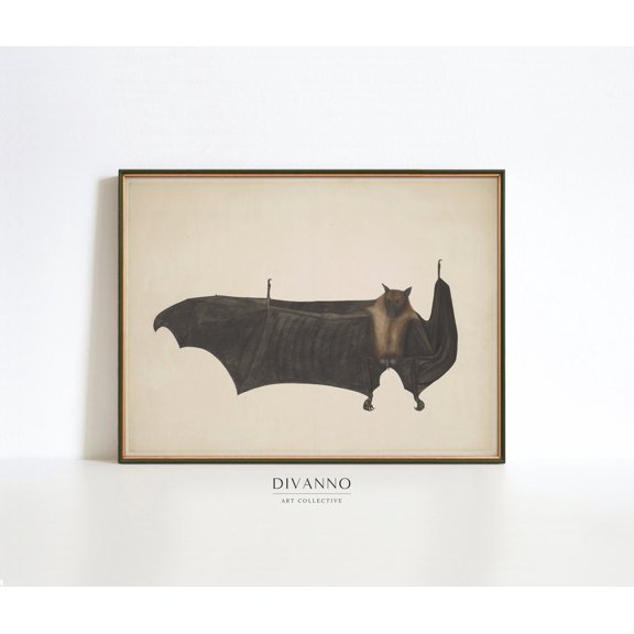 Antique Bat Night Animal Poster, Unframed Size 24x36
